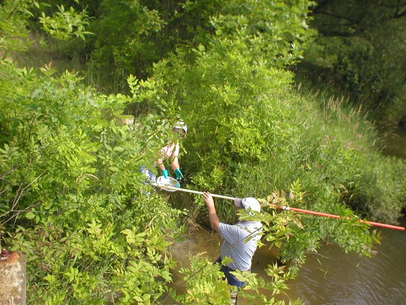 rvaap_off_installation_sampling_029.jpg (large)